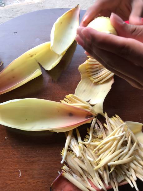 istock Banana flower floret 1413504602