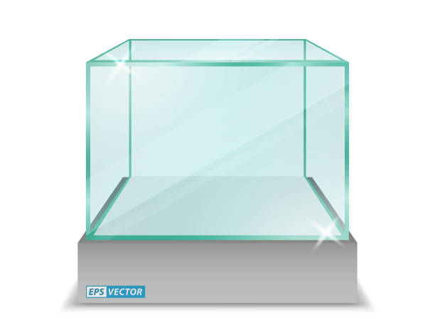 realistic empty transparent glass box or empty glass cube box showcase or exhibit box transparent background isolated. eps vector realistic empty transparent glass box or empty glass cube box showcase or exhibit box transparent background isolated. eps vector glass showroom stock illustrations