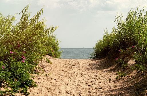 Beautiful abandoned sandy beach on the Baltic Sea shore