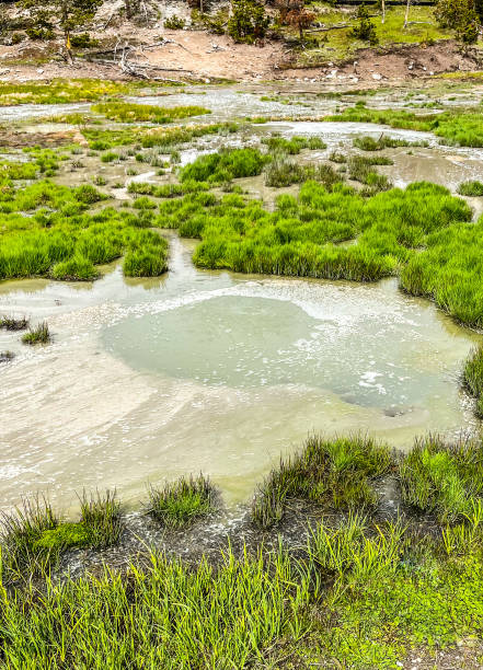 istock Thermal muds at Yellowstone National Park 1413509605