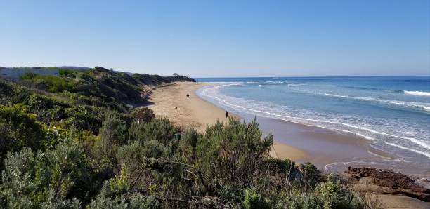 great ocean road - victoria, australien - australian culture landscape great ocean road beach stock-fotos und bilder