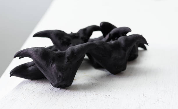 istock Water Caltrops, Trapa natans on white background 1413516818
