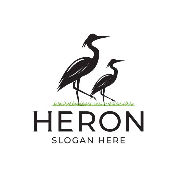 ilustraciones, imágenes clip art, dibujos animados e iconos de stock de símbolo de dos cigüeñas o flamencos o cigüeñas de pie sobre hierba verde. - heron