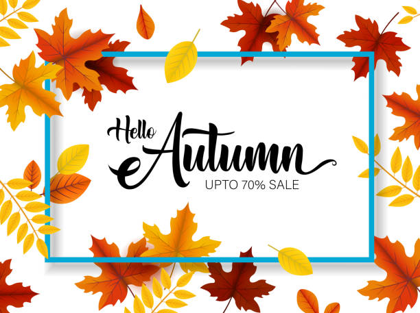 autumn sale autumn leaves frame sale banner design fall leaves stock illustrations