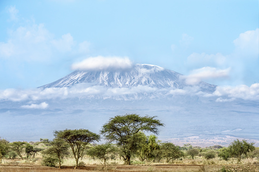 landscape scenery of Mount Kilimanjaro with foreground of savanna grassland view from Amboseli National Park Kenya.