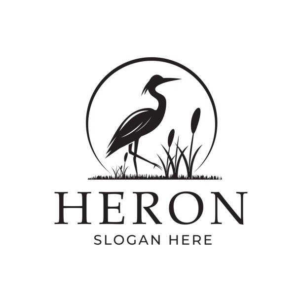 ilustraciones, imágenes clip art, dibujos animados e iconos de stock de símbolo de diseño de silueta de stork heron, plantilla de diseño - heron