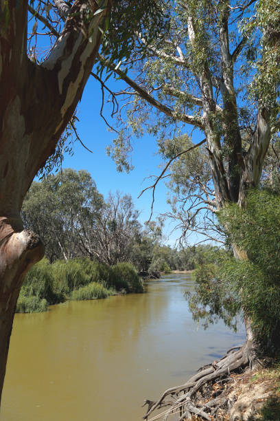 istock Swan Hill, Victoria, Australia 1413531712