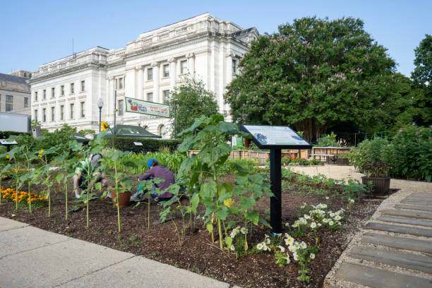 usda 본부의 인민 정원 및 usda 농민 시장 - usda built structure federal building washington dc 뉴스 사진 이미지