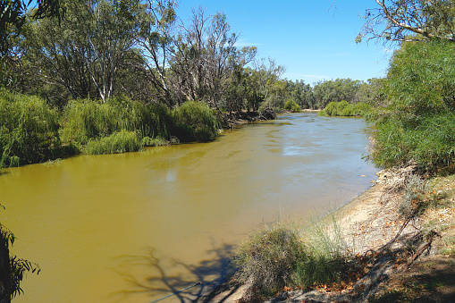 Goat Island at the conjunction of the Little Murray and Murray River in the Mallee Country