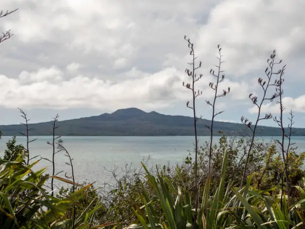 Photo of Rangitoto Island in Auckland, New Zealand