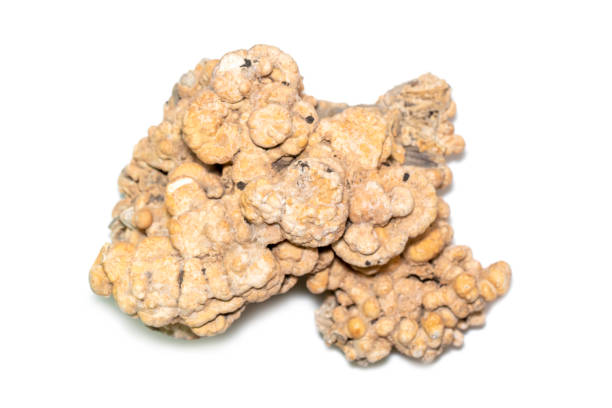 istock Image of coral cubes on a white background. Undersea Animals. 1413536159