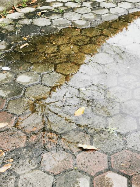 istock Puddles on paving blocks after rain. 1413538060