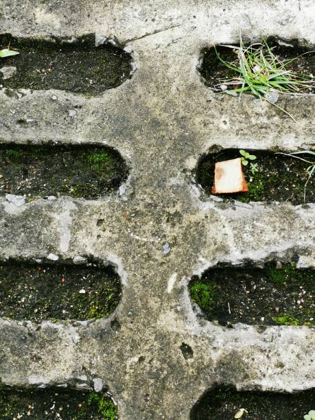 istock paving block installed on the page 1413538185