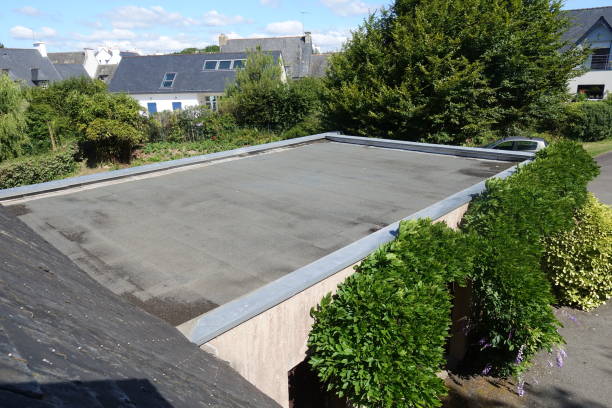 평평한 지붕 차고 외부에서 전망 슬레이트 타일 지붕이있는 배경 주택에서 - 편평한 뉴스 사진 이미지