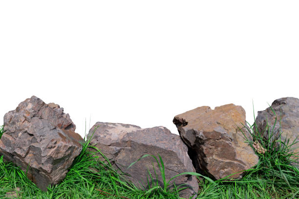 istock Stones with Grass on white Background. Foreground Template for Clipart. File with Clipping Path. 1413539713