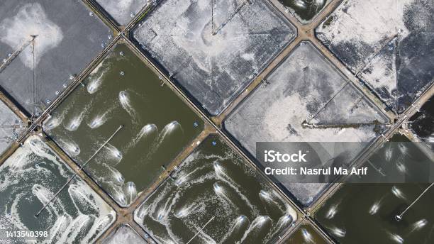 Aerial View Shrimp Ponds Adjacent To The South Coast Of Yogyakarta To Become The Largest Shrimp Supplier Center Stock Photo - Download Image Now