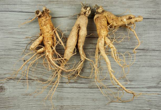 istock Korean food Fresh Ginseng, susam 1413541753