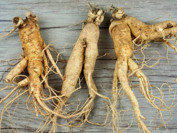 istock Korean food Fresh Ginseng, susam 1413541757