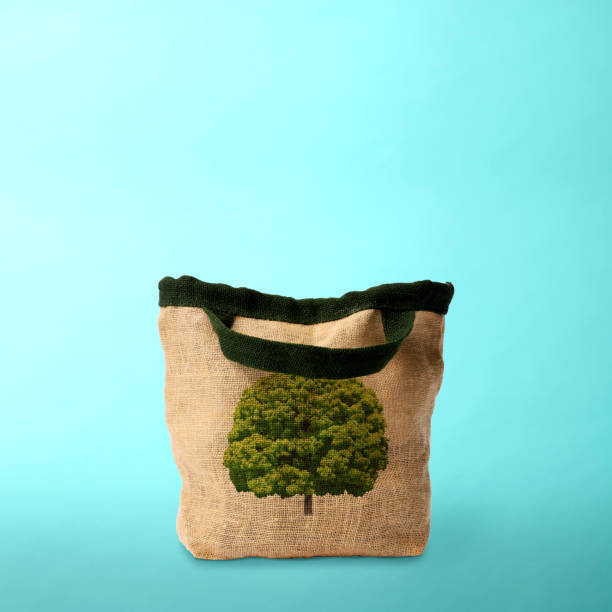 Burlap tote bag with camphor tree on light blue background.\nConcept of environmental and recycling.