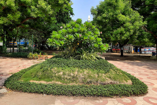 istock Beautiful Landscaping amidst Greenery 1413546572