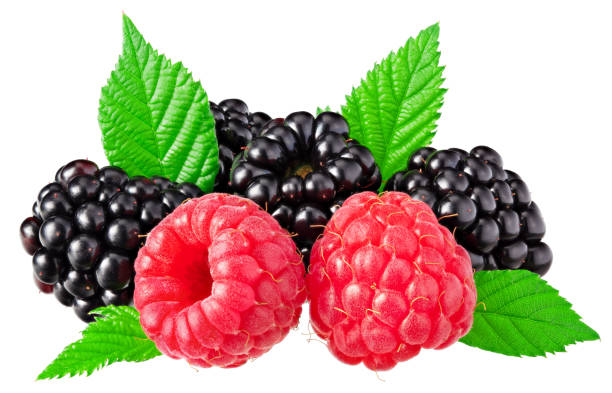 istock blackberries with leaves and raspberries isolated on white background. clipping path 1413547832