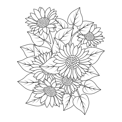 sunflower coloring page drawing with leaves doodle illustration vector