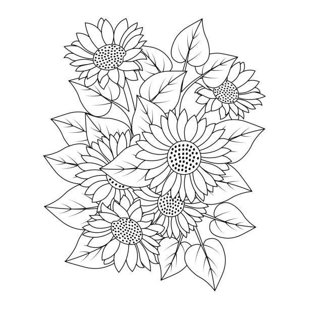 sunflower coloring page drawing with leaves doodle illustration vector sunflower coloring page drawing with leaves doodle illustration vector helianthus stock illustrations