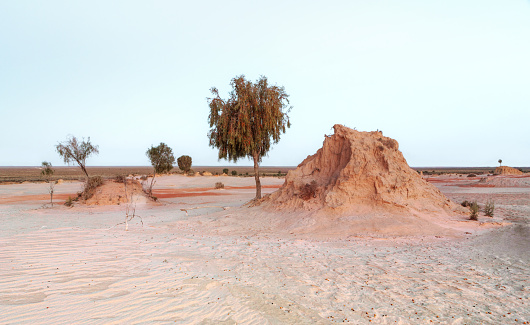 Mounds in the Australian desert support the only trees around as they are a mixture of sand and clays.  Drifting colours of ochre clays from weathering can also be seen