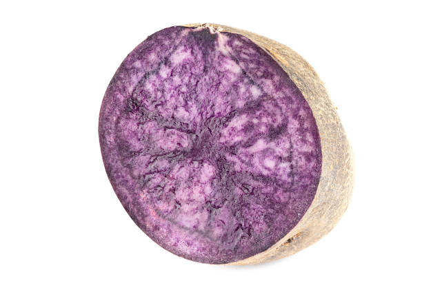ヴィテロッテポテト。白い背景に分離された生の皮をむいていない紫色のジャガイモ - healthy eating red above studio shot ストックフォトと画像