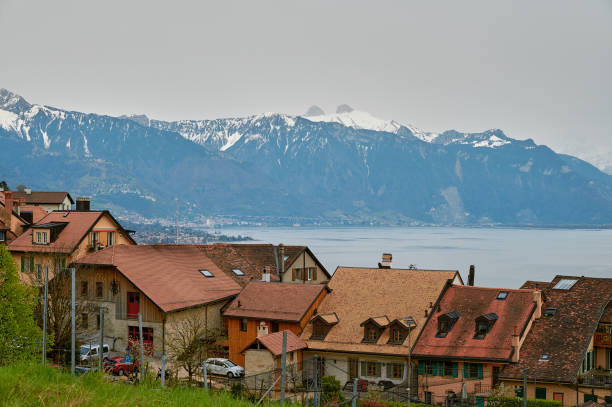 istock Vineyard terrace, Lavaux, Switzerland 1413556377