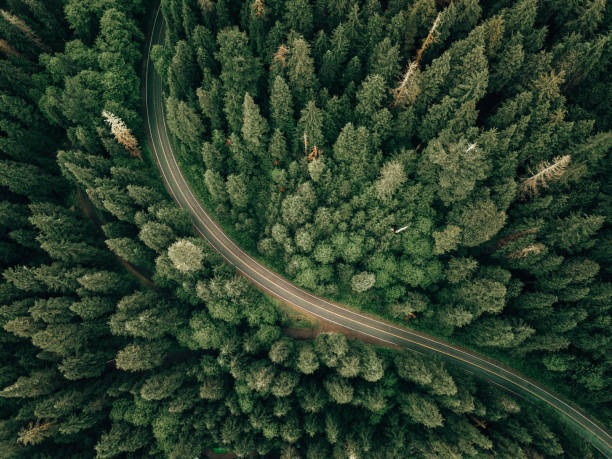 ワシントン州の高角ビュー - landscape aerial view lumber industry agriculture ストックフォトと画像