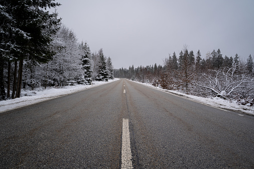 Asphalt road in countryside between snowy trees in winter