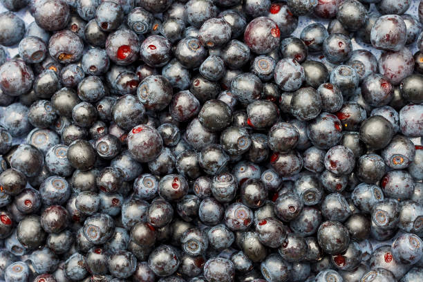 istock Blueberry berries close-up. Background image. Healthy eating. 1413563457