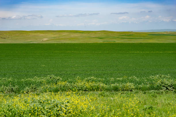 Kahetia, Georgia mountain and fields landscape view stock photo