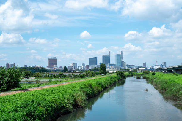 istock Scenery of Minuma rice fields in midsummer 1413567746