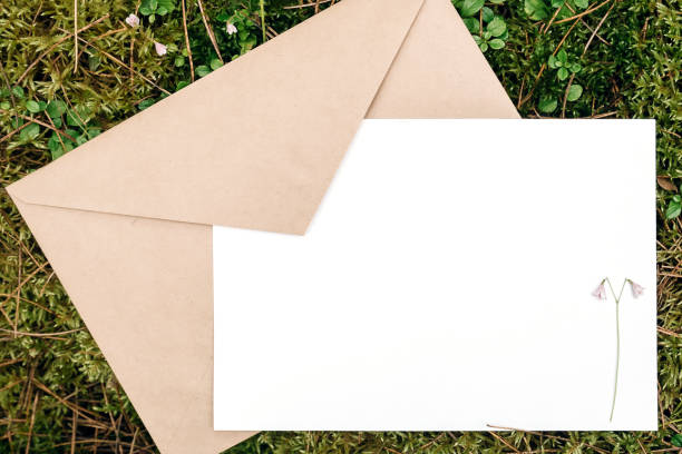 White blank card, craft envelope on green natural background in forest. Eco friendly concept. Top view Flat lay Mockup stock photo