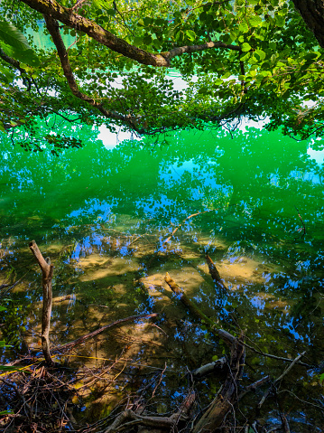 green shining water under trees in a cold clear lake - Feldberg Mecklenburg Schmaler Luzin