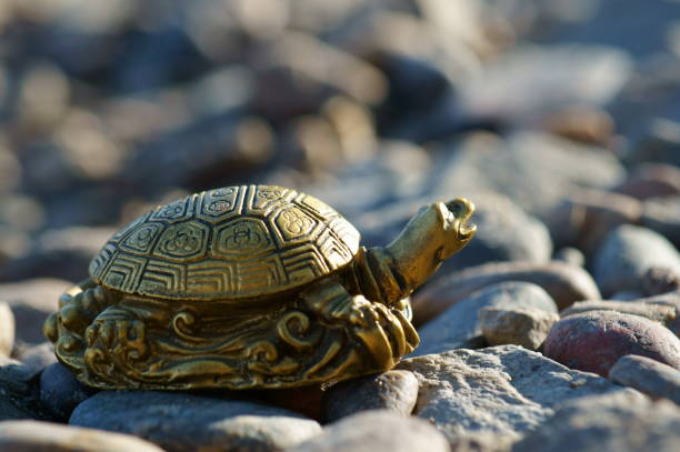 istock A metal turtle on a background of stones. 1413570877