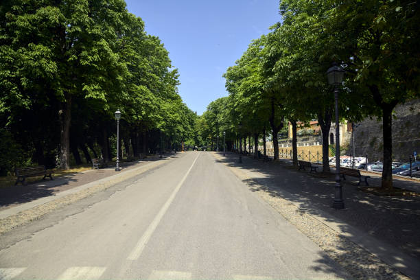 istock Uphill road bordered by trees on a sunny day 1413571892