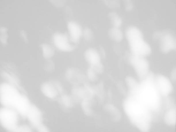 istock Abstract shadow of leaves on a white wall background 1413571979