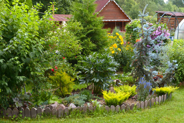 istock beautiful ornamental garden 1413572387