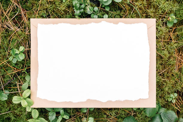 istock White blank card, craft envelope on green natural background in forest. Eco friendly concept. Top view Flat lay Mockup 1413573745