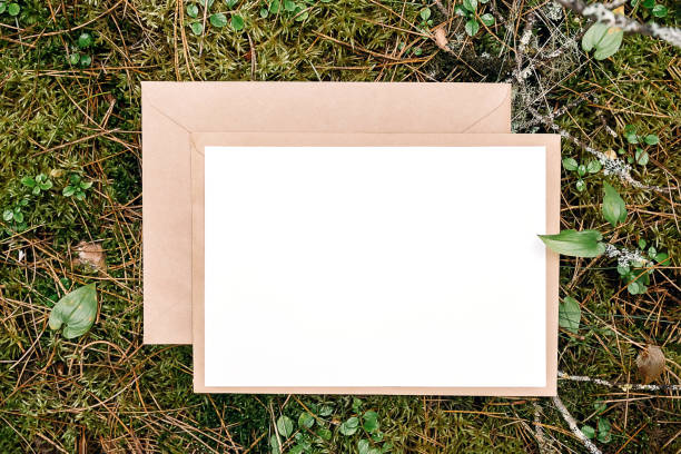 istock White blank card, craft envelope on green natural background in forest. Eco friendly concept. Top view Flat lay Mockup 1413573749