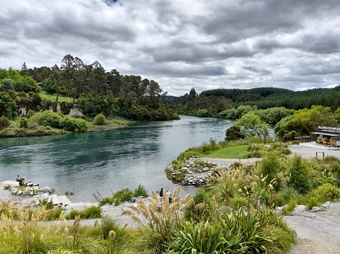 A photo of a New Zealand waterway taken in Nga Manu nature reserve