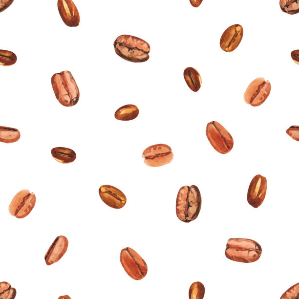 aquarell handbemalte kaffeebaumbohnen. kaffeepflanze. reifung von kaffeebeeren. - bean latté pattern frame stock-grafiken, -clipart, -cartoons und -symbole