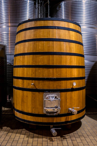 istock Old wine barrels macerating wine in their interior. Big size. 1413581107