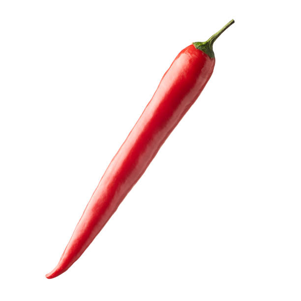 Red hot chili pepper. stock photo