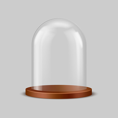 Cylinder dome, transparent case for exhibitions, kitchen utensils and Christmas souvenirs. Vector illustration of 3D realistic exhibition display with light wood plate, clean crystal case