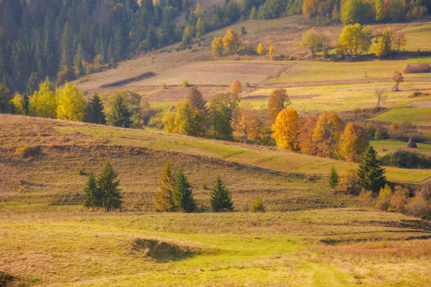 istock rural landscape in autumn 1413583513