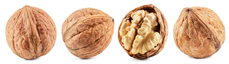 Set of walnuts isolated on white background.
